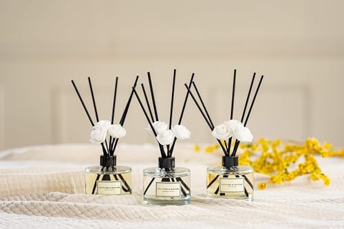 CULTURE & NATURE Reed Diffuser 6.7 oz (200ml) Eucalyptus Pine Scented Reed Diffuser Set