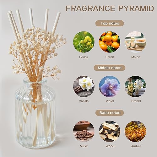 Auelife Reed Diffuser Set for Home, 6.4 oz Cashmere Vanilla Scented Diffuser with Sticks Preserved Real Flower Reed Diffuser Home Fragrance Essential Oil Reed Diffuser for Bathroom Shelf Decor