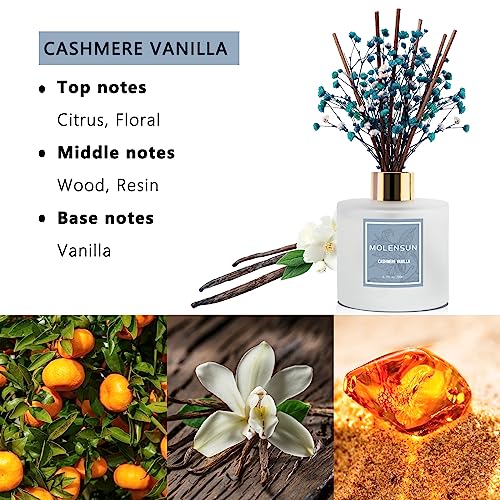 Molensun Reed Diffuser Set 6.7oz, Cashmere Vanilla Essential Oil Scented Diffuser with Sticks Preserved Real Flower Reed Diffuser Home Decor for Bathroom Guestroom & Gifts Stress Relieve