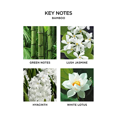 NEST Fragrances Reed Diffuser- Bamboo , 5.9 fl oz