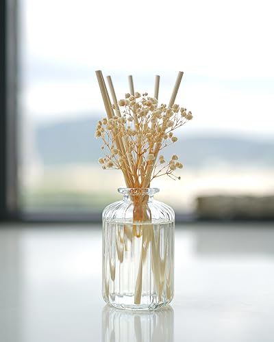 Auelife Reed Diffuser Set for Home, 6.4 oz Cashmere Vanilla Scented Diffuser with Sticks Preserved Real Flower Reed Diffuser Home Fragrance Essential Oil Reed Diffuser for Bathroom Shelf Decor