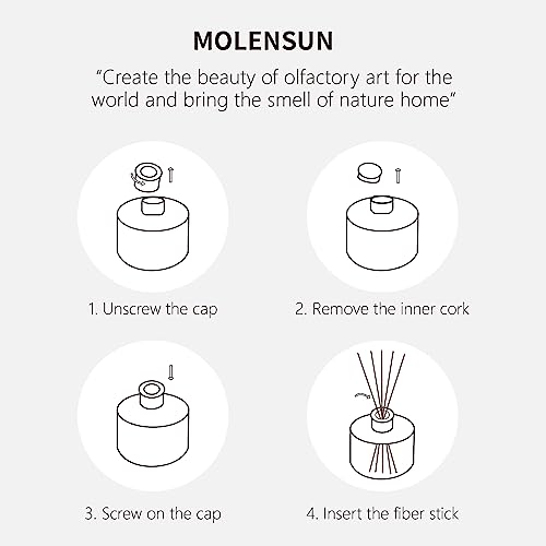 Molensun Reed Diffuser Set 6.7oz, Cashmere Vanilla Essential Oil Scented Diffuser with Sticks Preserved Real Flower Reed Diffuser Home Decor for Bathroom Guestroom & Gifts Stress Relieve