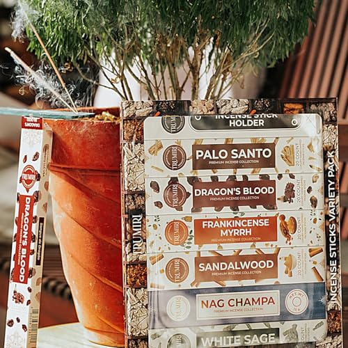 Classic Incense Sticks - Total 120 Insence-Sticks (20 Insense x 6 Inscents) - Inciensos Aromaticos Para La Casa Incents with Nag Champa Sage Palo Santo Frankincense Sandalwood etc. + Incense Holder