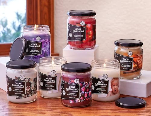 Vanilla Bean Odor Eliminating Highly Fragranced Candle - Eliminates 95% of Pet, Smoke, Food, and Other Smells Quickly - Up to 80 Hour Burn time - 12 Ounce Premium Soy Blend