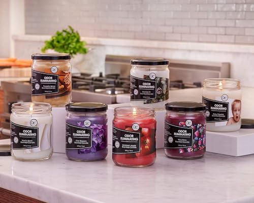 Vanilla Bean Odor Eliminating Highly Fragranced Candle - Eliminates 95% of Pet, Smoke, Food, and Other Smells Quickly - Up to 80 Hour Burn time - 12 Ounce Premium Soy Blend