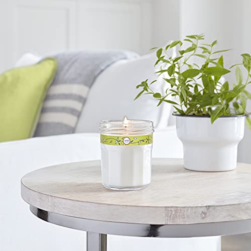 Mrs. Meyer's Clean Day Scented Soy Candle, Large Glass, Lemon Verbena, 7.2 oz, 2 ct