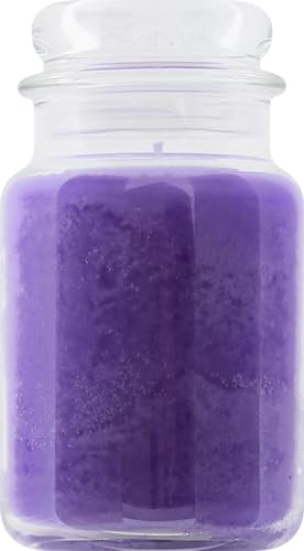Yankee Candle Company Lilac Blossoms Scented, 22oz Single Wick Candle, Over 110 Hours of Burn Time, Perfect for Gifting, Gatherings and Seasonal Decorations, Classic Large Jar, Violet