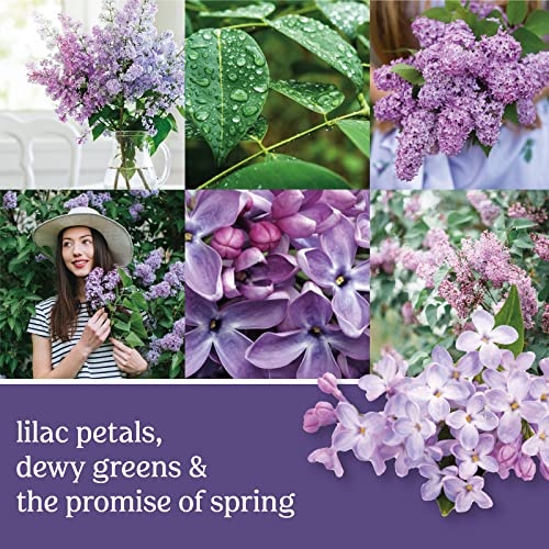 Yankee Candle Company Lilac Blossoms Scented, 22oz Single Wick Candle, Over 110 Hours of Burn Time, Perfect for Gifting, Gatherings and Seasonal Decorations, Classic Large Jar, Violet
