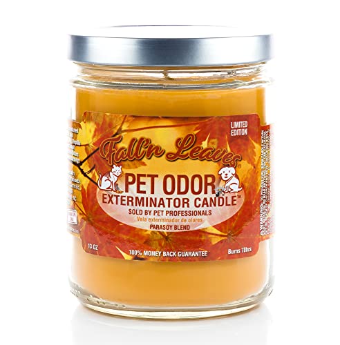 Fall Leaves Pet Odor Exterminator Candle Bundle