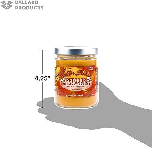 Fall Leaves Pet Odor Exterminator Candle Bundle