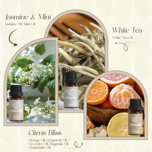 Luxury Hotel Fragrance Oils Set for Diffusing