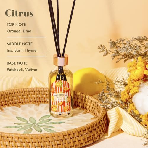 Linen Vanilla Citrus Reed Diffuser Trio