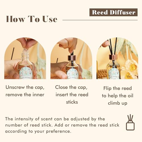 Linen Vanilla Citrus Reed Diffuser Trio