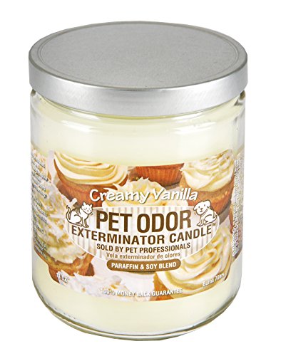 Creamy Vanilla Odor Exterminator Candles - 2 Pack