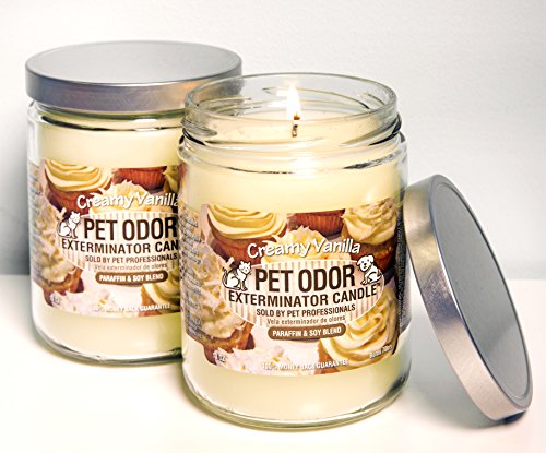 Creamy Vanilla Odor Exterminator Candles - 2 Pack