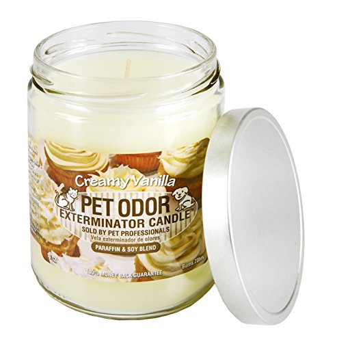 Creamy Vanilla Odor Exterminator Candles - 2 Pack