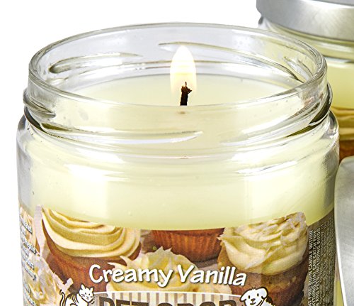 Creamy Vanilla Odor Exterminator Candles - 2 Pack