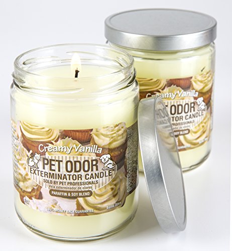 Creamy Vanilla Odor Exterminator Candles - 2 Pack