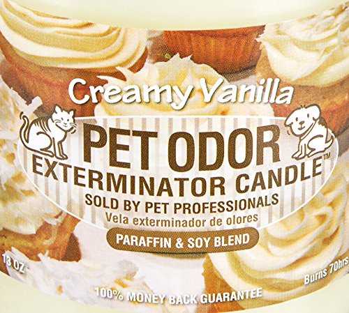Creamy Vanilla Odor Exterminator Candles - 2 Pack