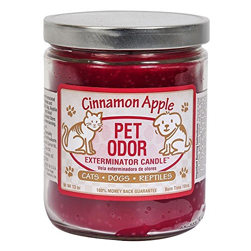 Cinnamon Apple Pet Odor Exterminator Candle 13 oz