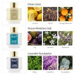Fresh Scents Reed Diffuser Set - 3 Fragrance Oils