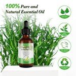 Rosemary Oil for Hair and Skin Care