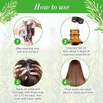 Rosemary Oil for Hair and Skin Care