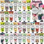36-Pack Scented Body Lotions for All Skin