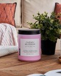 Cherry Blossom Scented Candle - 19.4oz Aromatherapy