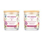 Wildflowers Scented Pet Odor Control Candles - 2 Pack