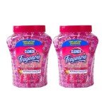 Clorox Fraganzia Spring Scent Air Freshener Beads