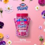 Clorox Fraganzia Spring Scent Air Freshener Beads