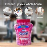 Clorox Fraganzia Spring Scent Air Freshener Beads