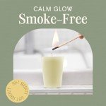 Mister Candle Spring/Summer Scented Votive Set