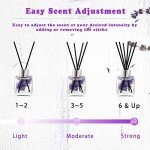 Lavender Aromatherapy Reed Diffuser Set - 50ml