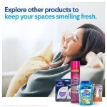Clorox Fraganzia Spring Scent Air Freshener Beads