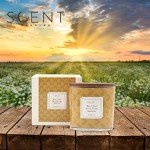 Aromatherapy Scented Candles for Home Bliss