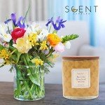 Aromatherapy Scented Candles for Home Bliss