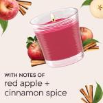 Glade Apple Cinnamon Scented Candle Jar 2-Pack