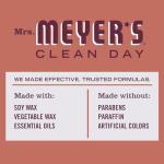 Mrs. Meyer's Fall Leaves Scented Soy Candle