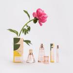 Good Chemistry Queen Bee Body Mist Spray