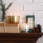 Trapp White Fir Scented Candle - 7 Ounces