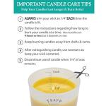 Trapp Holiday Scented Candle - 7 Ounces