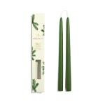 Thymes Frasier Fir 12" Scented Candle Set