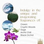 Gonesh Extra Rich Scented Incense Variety Pack