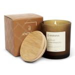 Anovina Apple Cinnamon Soy Candle for Cozy Vibes