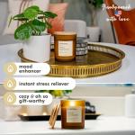 Anovina Apple Cinnamon Soy Candle for Cozy Vibes