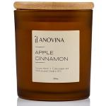 Anovina Apple Cinnamon Soy Candle for Cozy Vibes