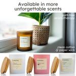 Anovina Apple Cinnamon Soy Candle for Cozy Vibes