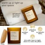 Anovina Apple Cinnamon Soy Candle for Cozy Vibes